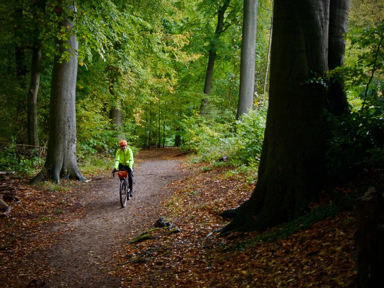 It feels as though Hamburg sits in a forest, and looks that way when you arrive by plane. So a gravel ride from the outskirts to a city centre cafe is a gravel riding option. Bike paths and woodland tracks link together to take you to the heart of th