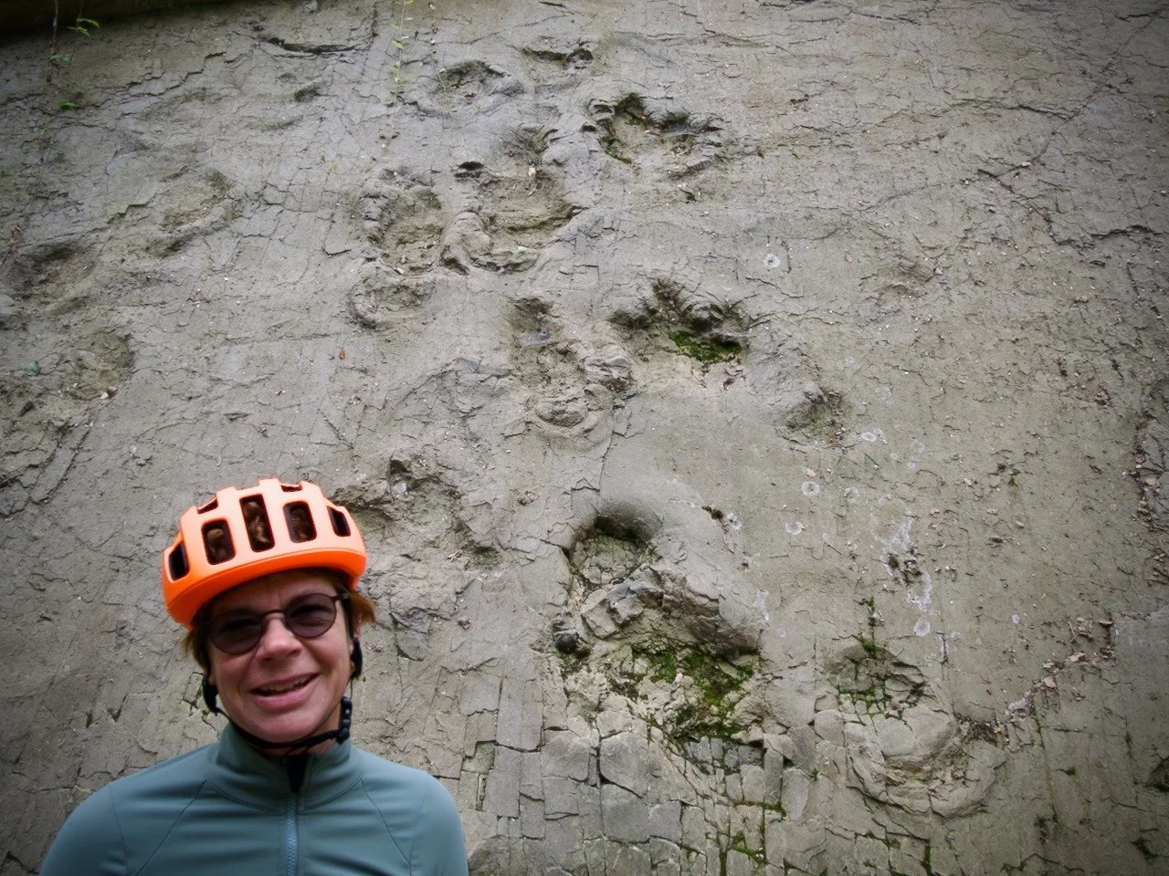Dinosaur footprints - by bicycle. The first time I have ever gone on a bike ride to see footprints. As always the combination of bikes and cycling infrastructure/cafes made the day just perfect. Wolgang our friend and host reminded us last night that
