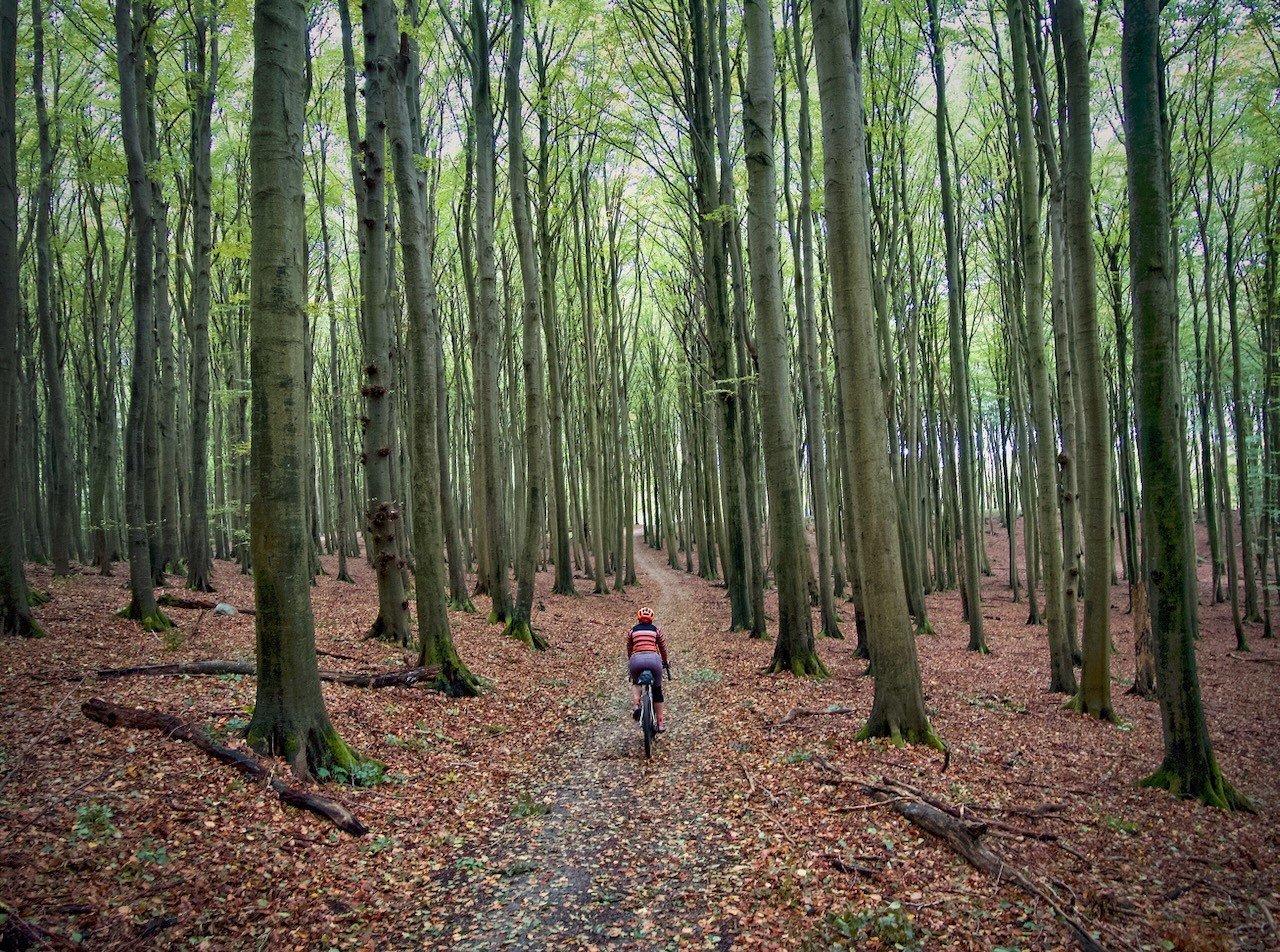 I took another look at the photos we had from our gravel bike holiday on the island of Rugen. Two images really stand out as a memory of the joy of riding gravel bikes. Both photos are from the shortest ride we did - just 13 miles in total. Thanks so