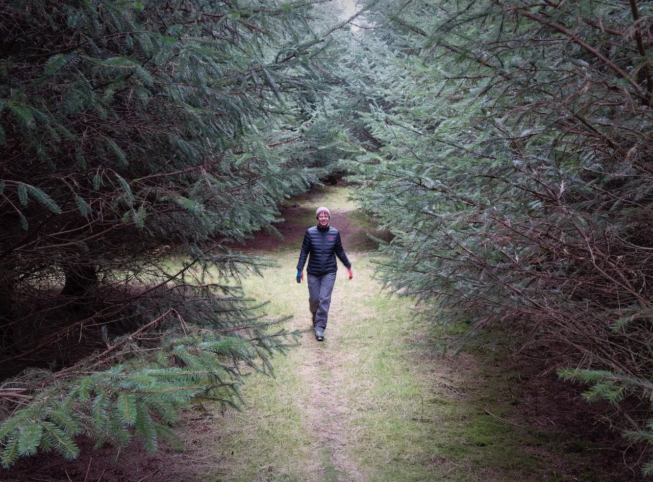 A walk first thing in the morning - and quality coffee made from the bean. I have no idea how anyone functions without these in their lives. Sheltering from a lazy wind today with a forest loop, followed by chores. A new lens tested for using on the 