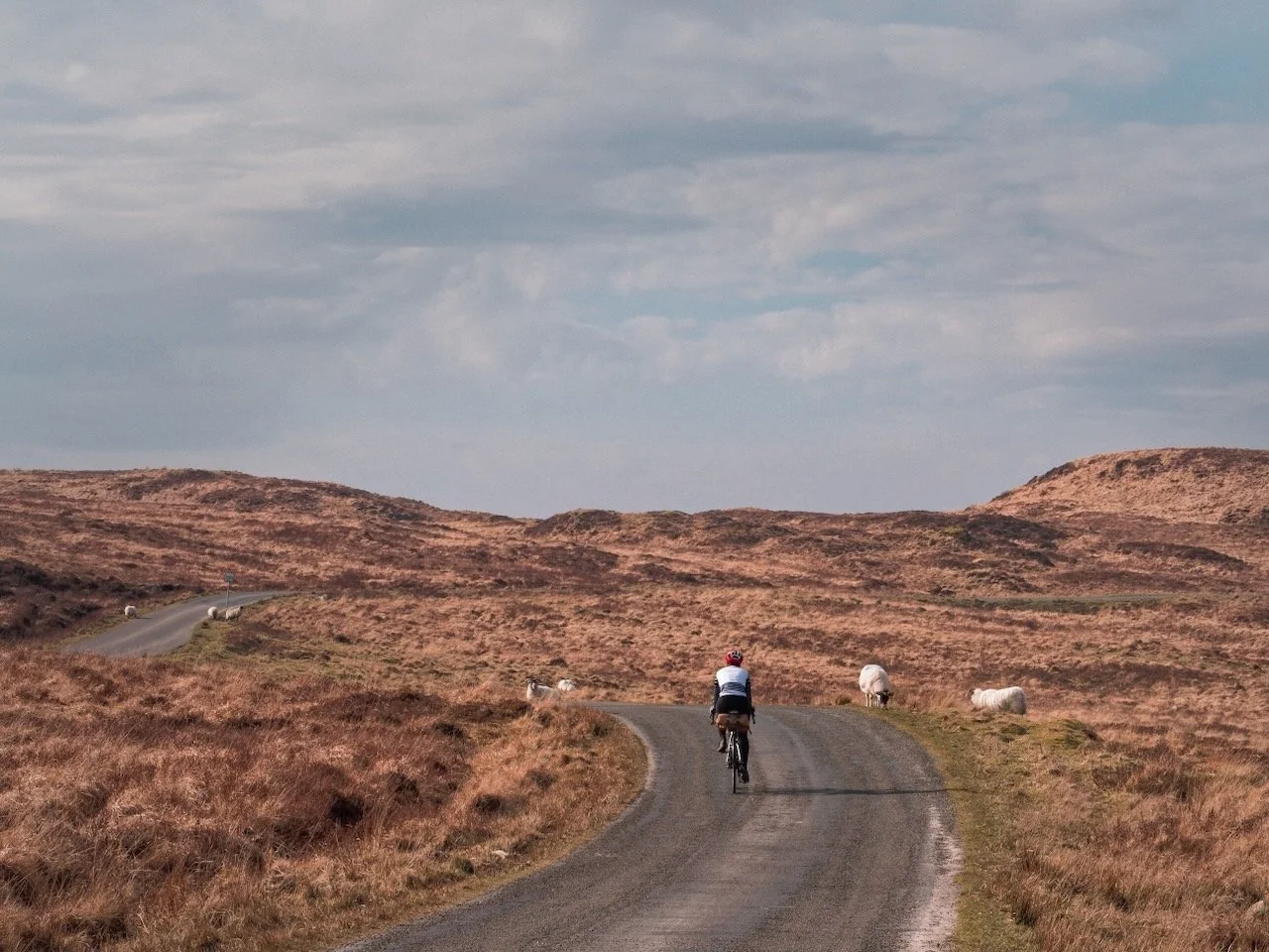 Galloway Cycling Holidays Bike tours - 10.jpeg
