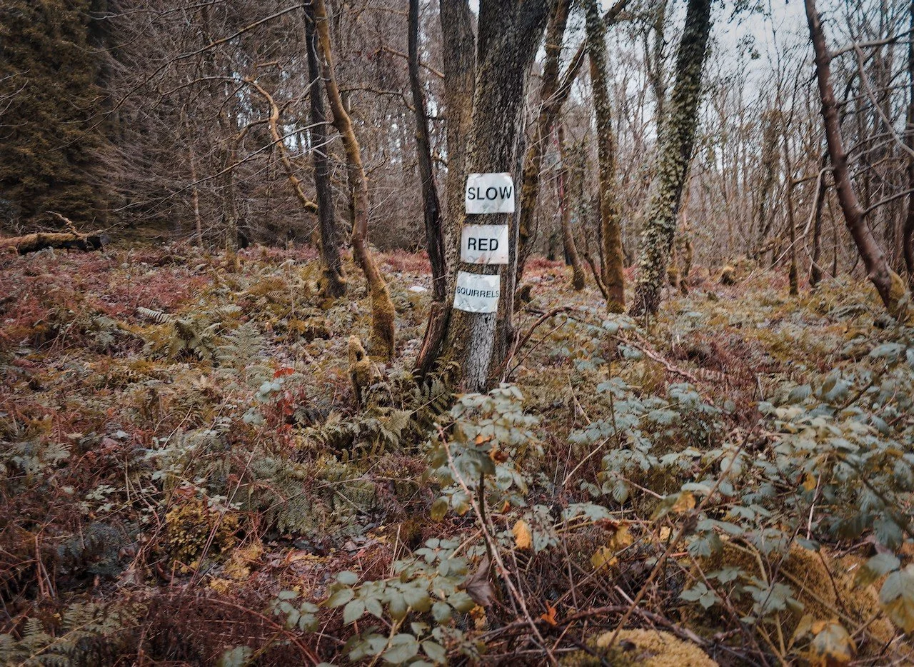 A ride in the rain - heavy rain. I totalled up the cost of the bike clothing that kept me dry - well over &pound;1,000 - worth every penny.