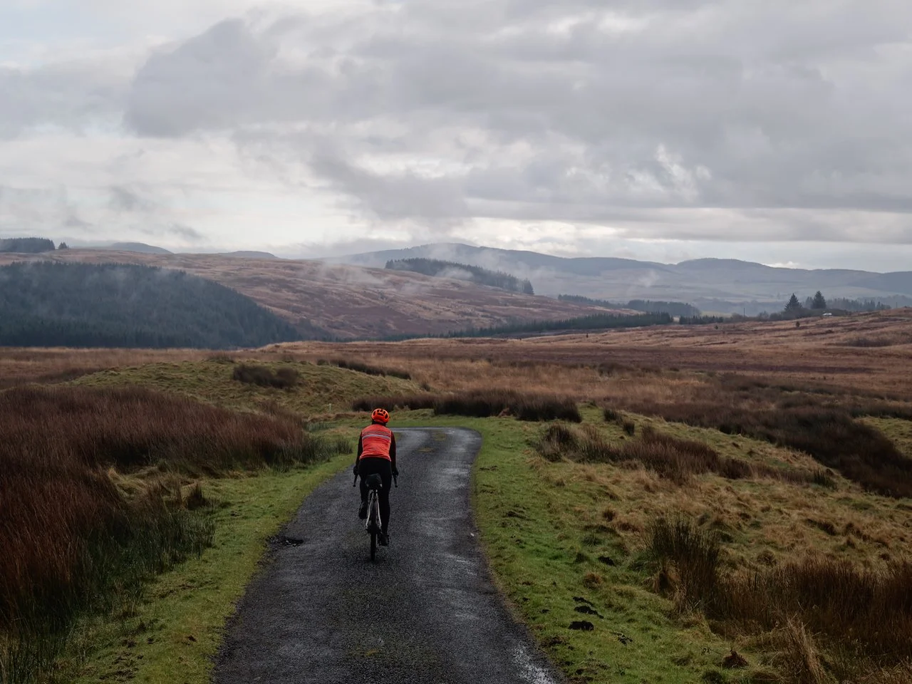 More photos from our ride on Saturday. Sunday the rain came in sheets that lasted all day and filled every burn, gutter and pond to overflowing. We did not even leave the house. Carpe diem - Latin phrase, which literally means "pluck the day,&qu