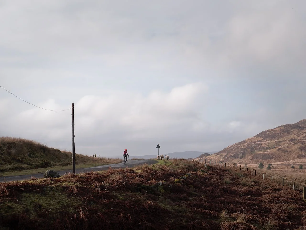 Yet again we got lucky with a day better than forecast. Out on the gravel bikes to ride a track once trod by Rabbie Burns. As always, I had forgotten just how special that track is as it drops down to Castramon Wood.
