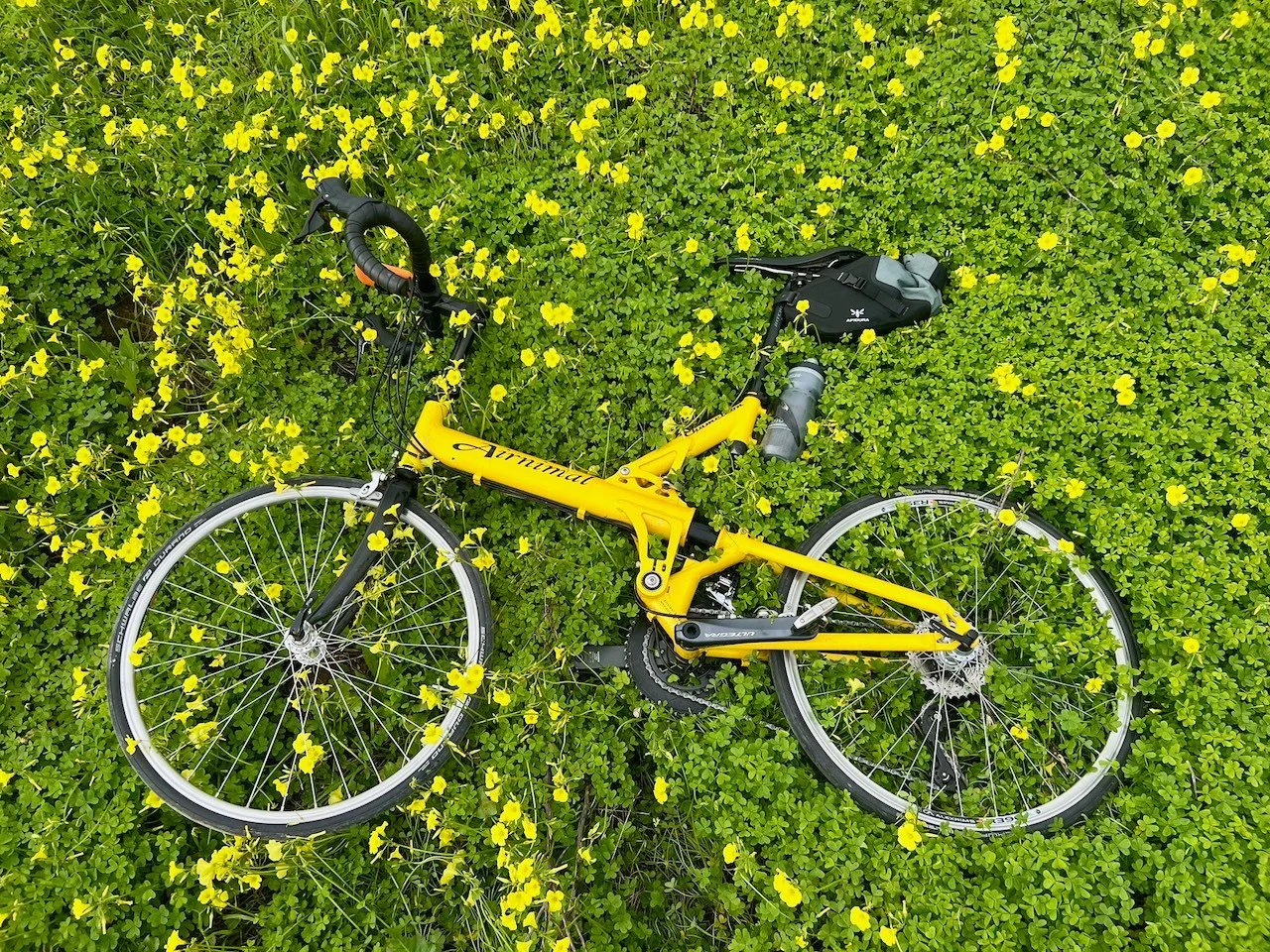 Silves is our go-to town here in Portugal. We know where everything is and love the cafes - always a peach of a route to get there - getting the bike holiday vibe now.