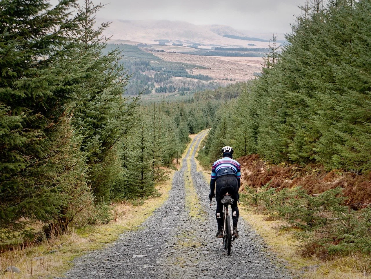 It is wonderful where gravel bikes can take you. Down there is the road to Ayr and I had no idea this was here. Get out and do stuff - and go exploring!