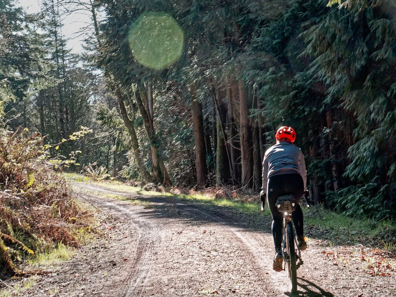Lost Memorial Cairn to a faithful Collie Dog "Meg" put in place and carved by hand by her Shepherd back in August 1905! - You can only see the sign on the Glengap climb up Fuffock Hill. This is probably the hardest way to get up the hill by
