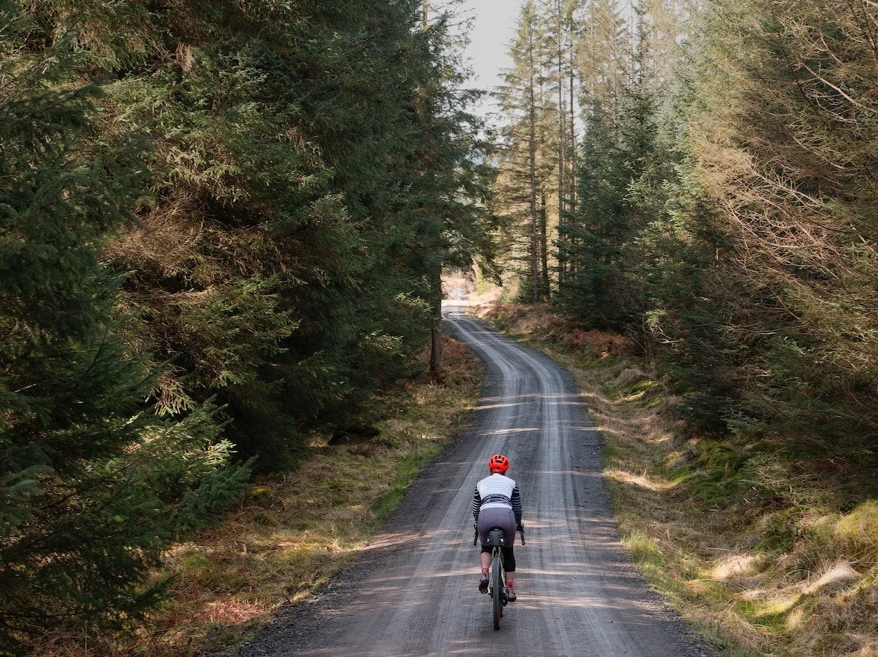 Raiders Road is always so special. Dry enough for summer shoes and warm enough for fingerless gloves! We have our usual places to stop and drink in the quiet of the forest.