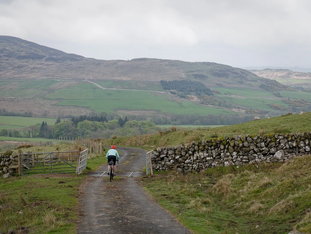 The Gralloch is just days away - the gravel spotlight shines on Galloway. But there is more to here - so many great tracks and rough old roads that you can call gravel.