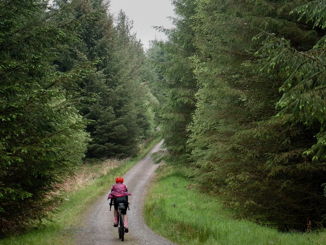 Just getting out on a bike ride is a victory. I often wonder how people manage without a life with a bike.