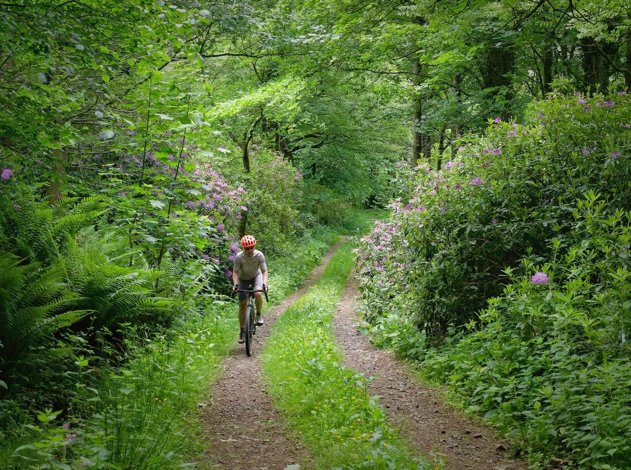 The Big Onion is a local gravel event that we have never done. The route is brilliant and covers a lot of Galloway that we do not often ride. Until today that is. Lots of gravel climbing makes for a hard day and the cafe option being closed did not h
