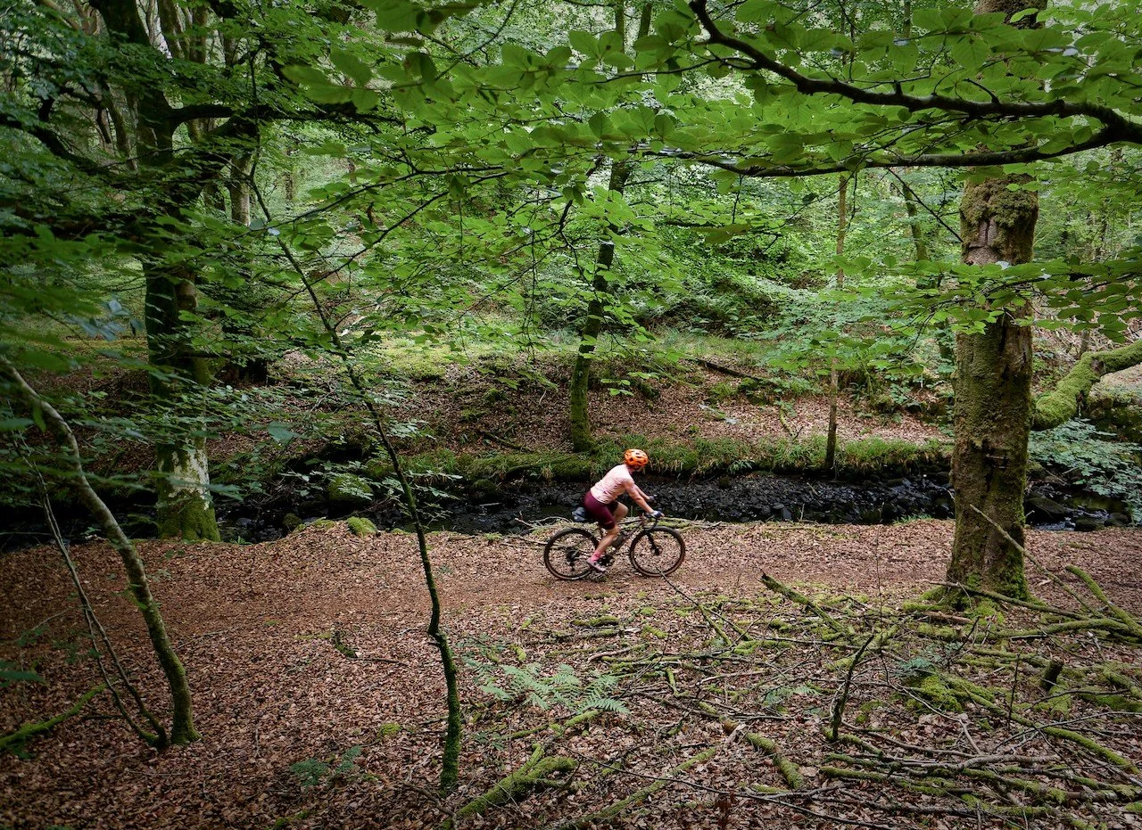 Always find it difficult to get out if we don't go first thing in the morning.So glad we got the gravel bikes out today - we went looking for mushrooms - none! Bridge was down, so we improvised - stoped to listen to thousands of insects buzzing - LOV