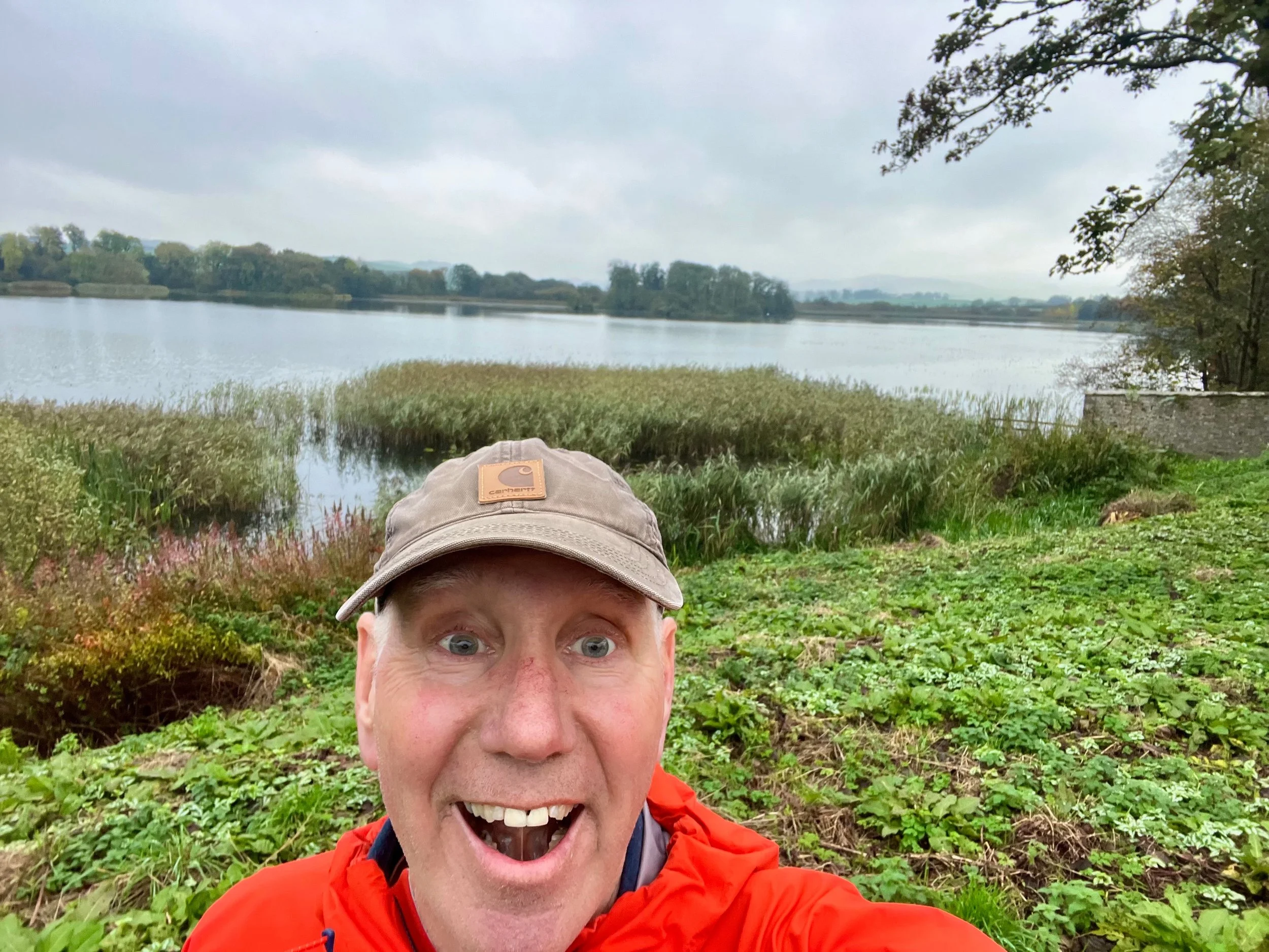 A week of walks - not as far as last week, but still good. Still random days that knock back the progress and feel like a step back. I can now do the zip on my coat - hurrah. The new hip is getting used enough that I can forget about it. Autumn colou