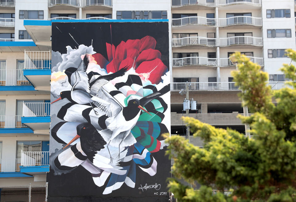 Felipe Ortiz “Oystercatchers” completed for 48 Blocks Mural Project. 45ft x 18ft. Atlantic City NJ. 2019 (photo by Tim Hawk)