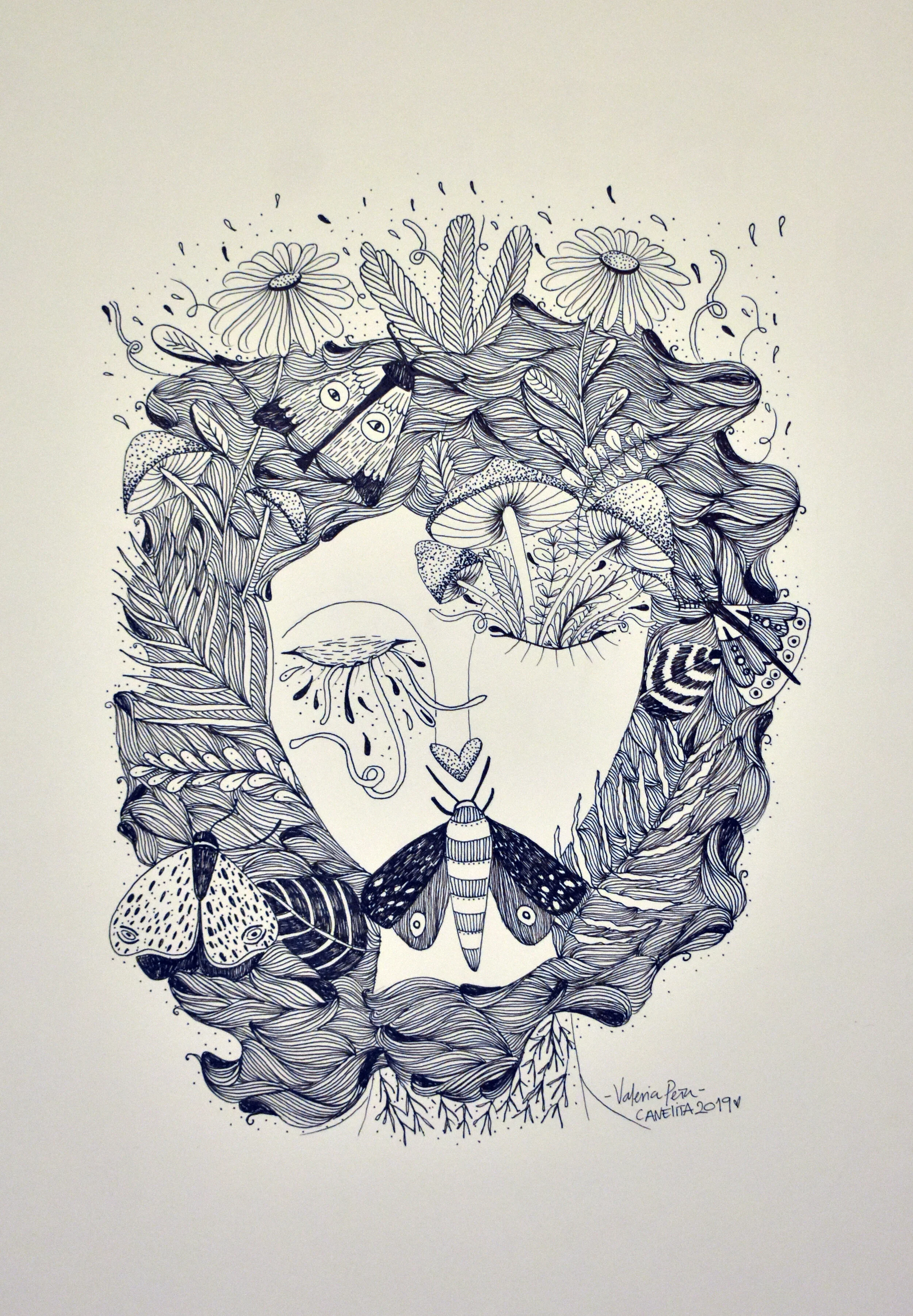Caneita 9in x 13in, Ink on paper, $300.