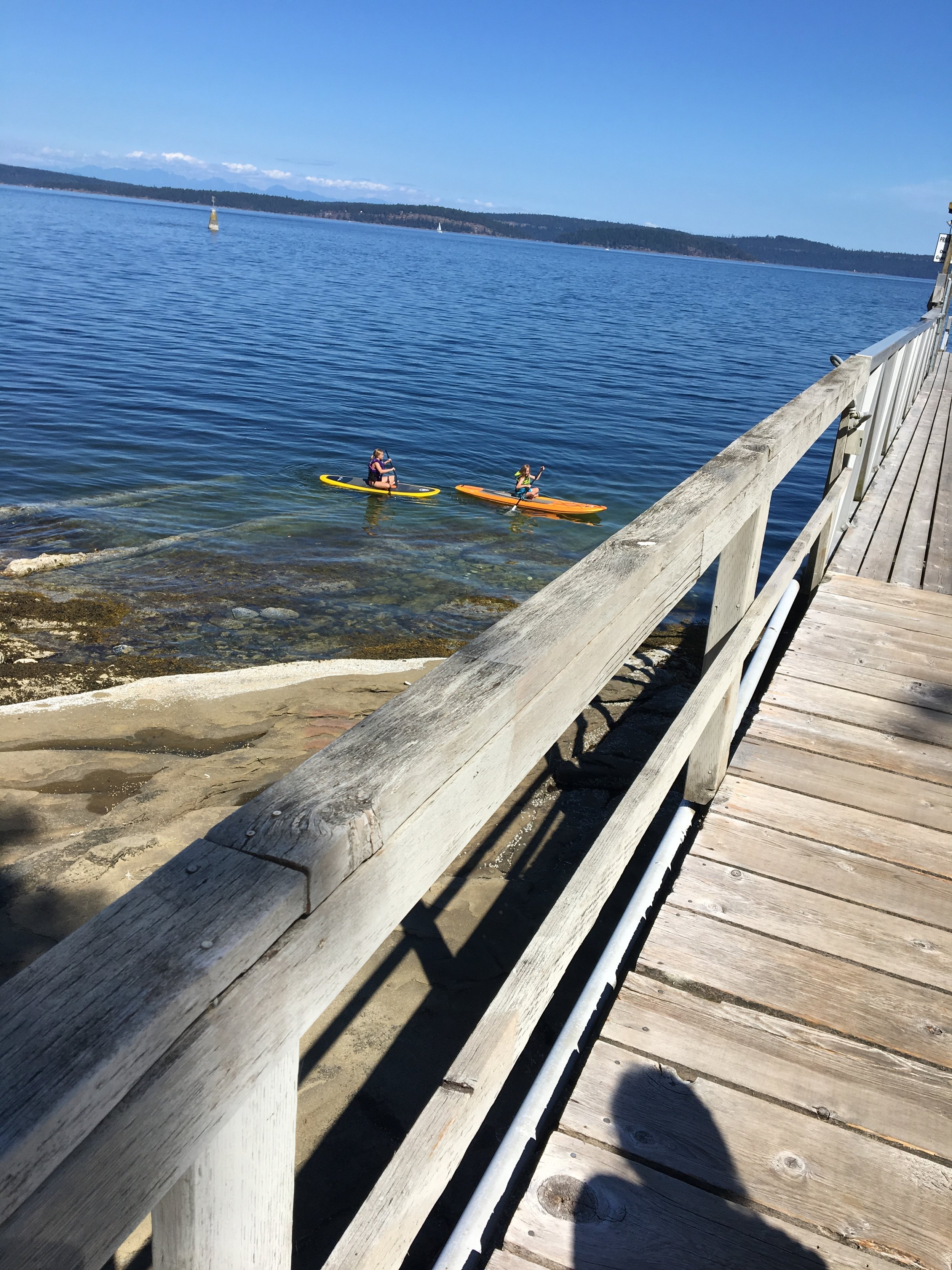 dock paddle boards.JPG