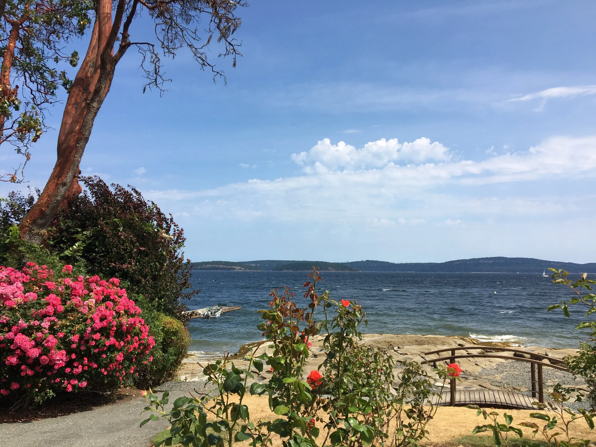 flowers and beach.JPG