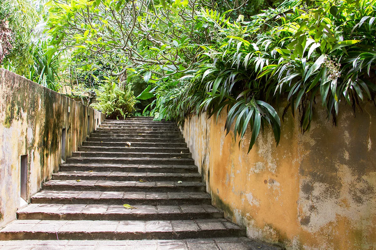 Steps by the pool .jpg