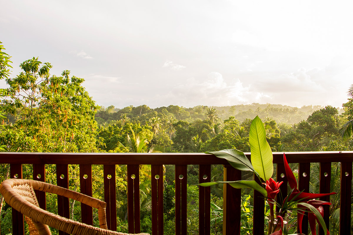 view from balcony shala room 2.jpg