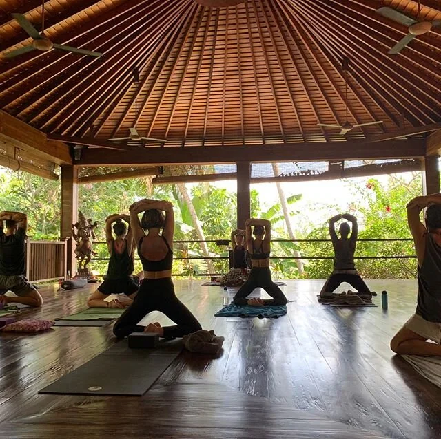 .
.
🔻PRALAYA + KALARIYAPATTU inspired HATHA VINYASA classes .
.

Laurence is a practitioner of yoga for over 20 years. She is certified in Hatha Vinyasa and Pralaya Yoga, Ayurvedic Massage, Abhyanga, contempary dance, classical indian dance (Bharata