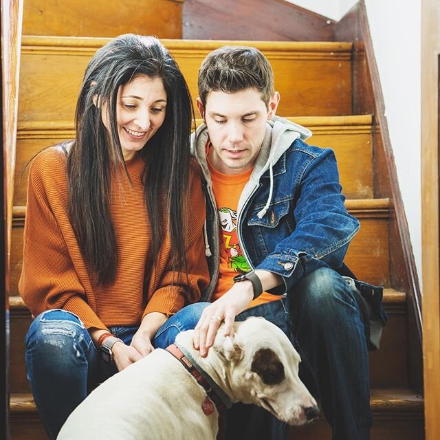 This is not our dog. Those are not our stairs. But that is the woman who said &ldquo;yes&rdquo; when I asked her to marry me (red flag) and if she wanted that dog I&rsquo;d steal it. If she wanted those stairs, I&rsquo;d rip them out of that nice Ten