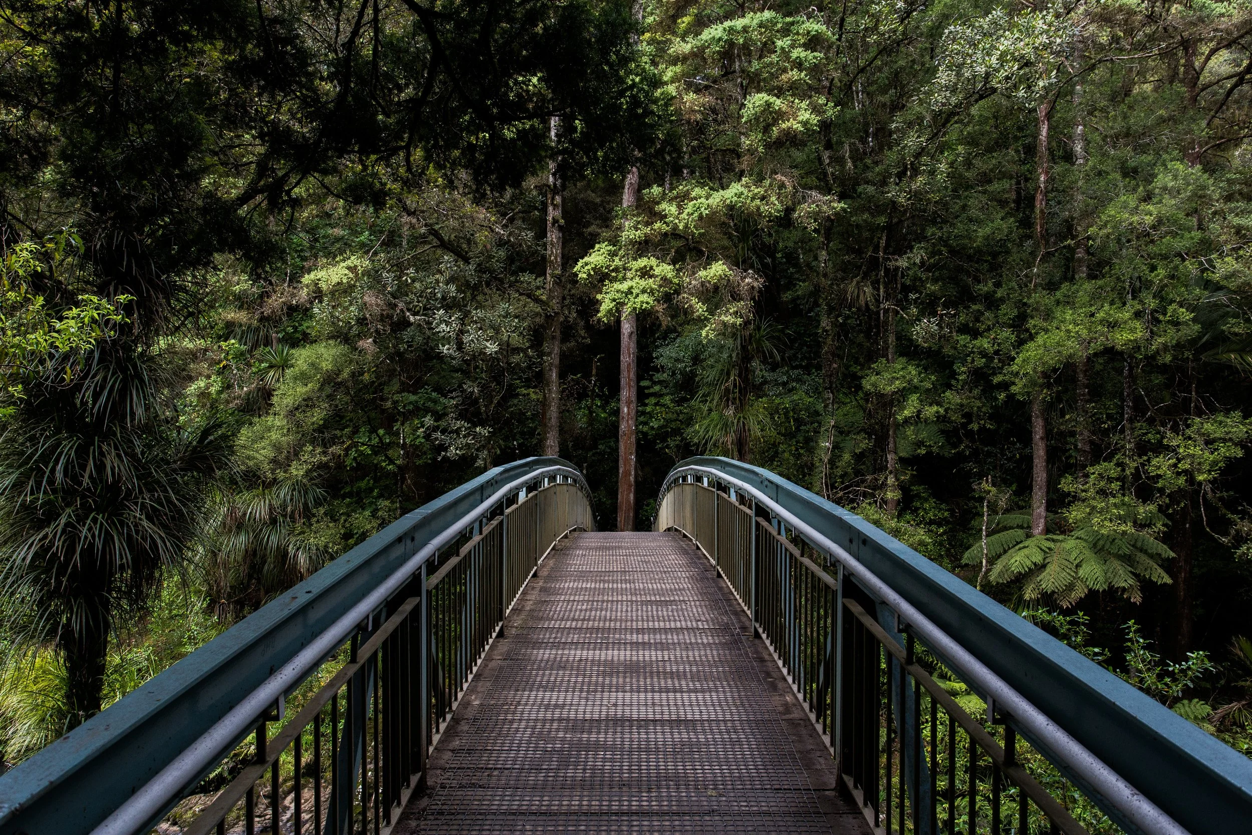 tim-swaan-bridge.jpg