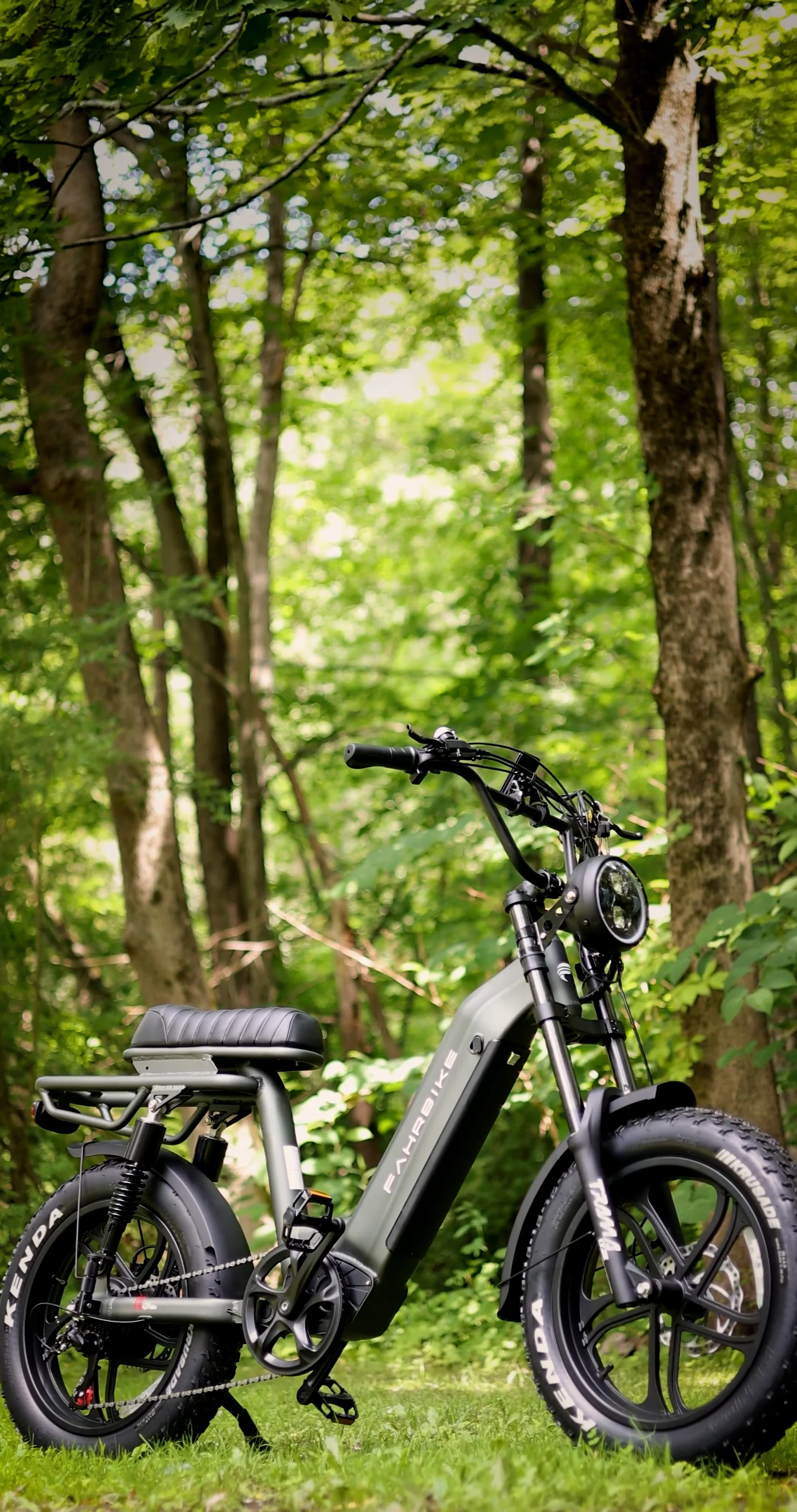 ebikes by Riding times, Marsants X, and Fahrbike are just a few of the ebikes we carry!