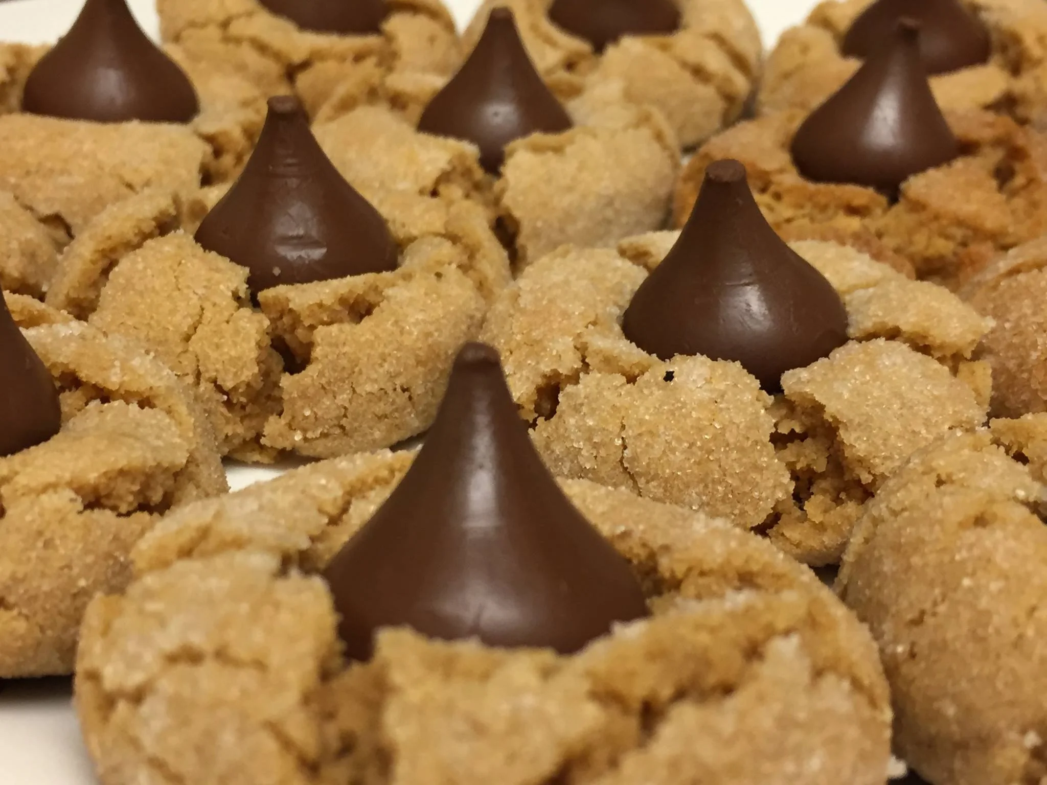 Fresh baked chocolate peanut butter cookies were just one of many prizes for the teams who collected the most signs.