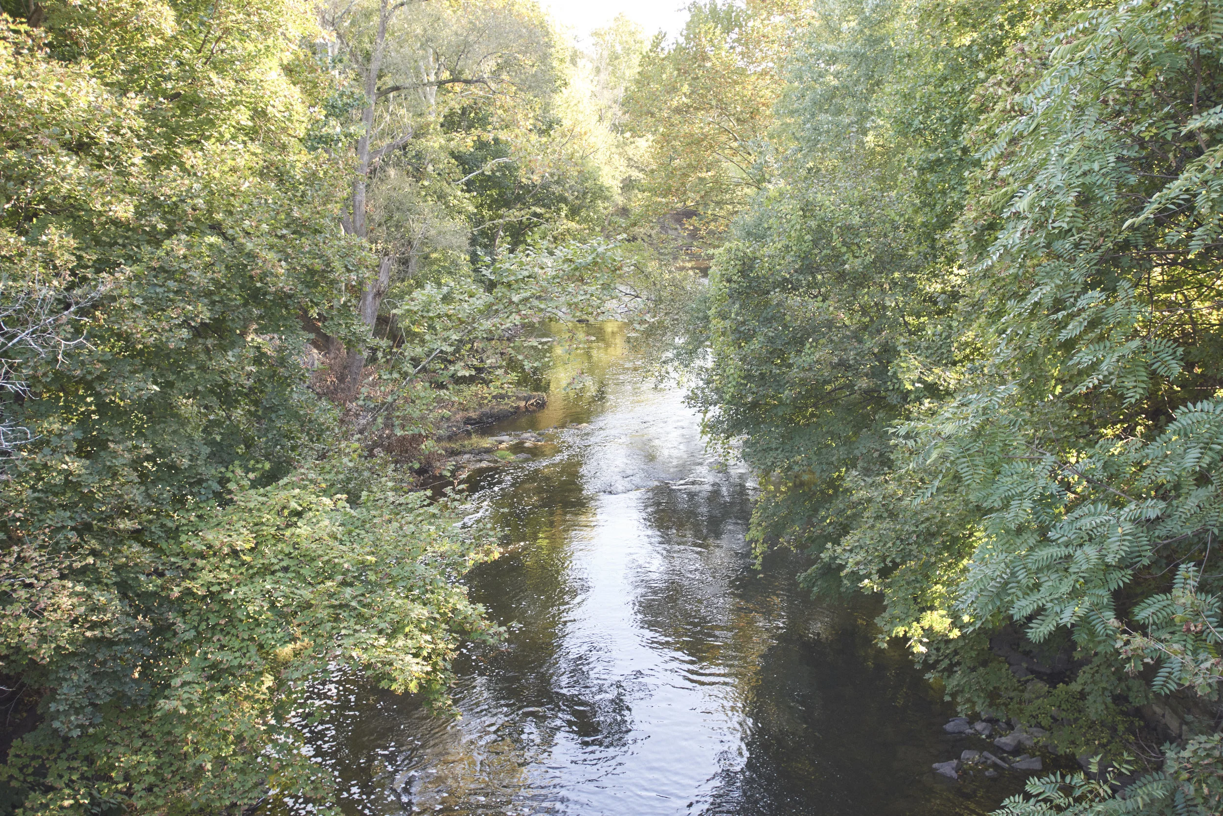 _DSC3041.jpg