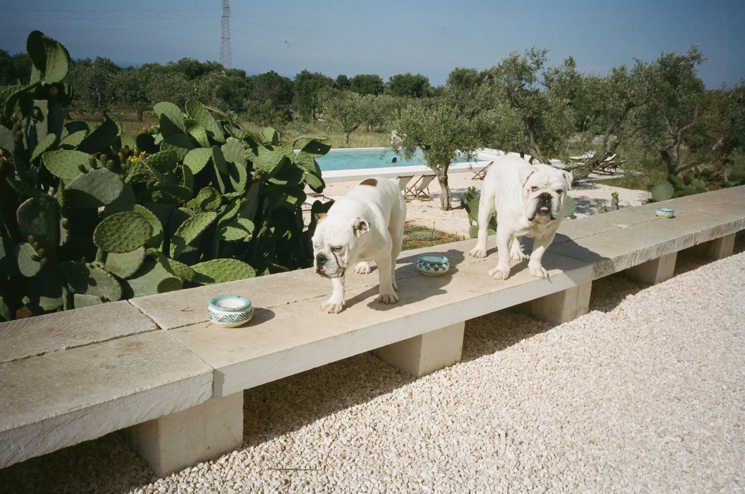 ITALY Ostuni, Masseria Moroseta