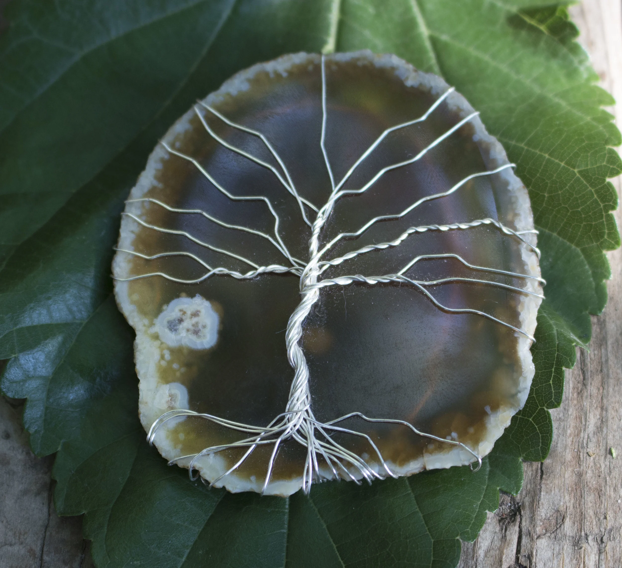 sst agate1_0773.jpg