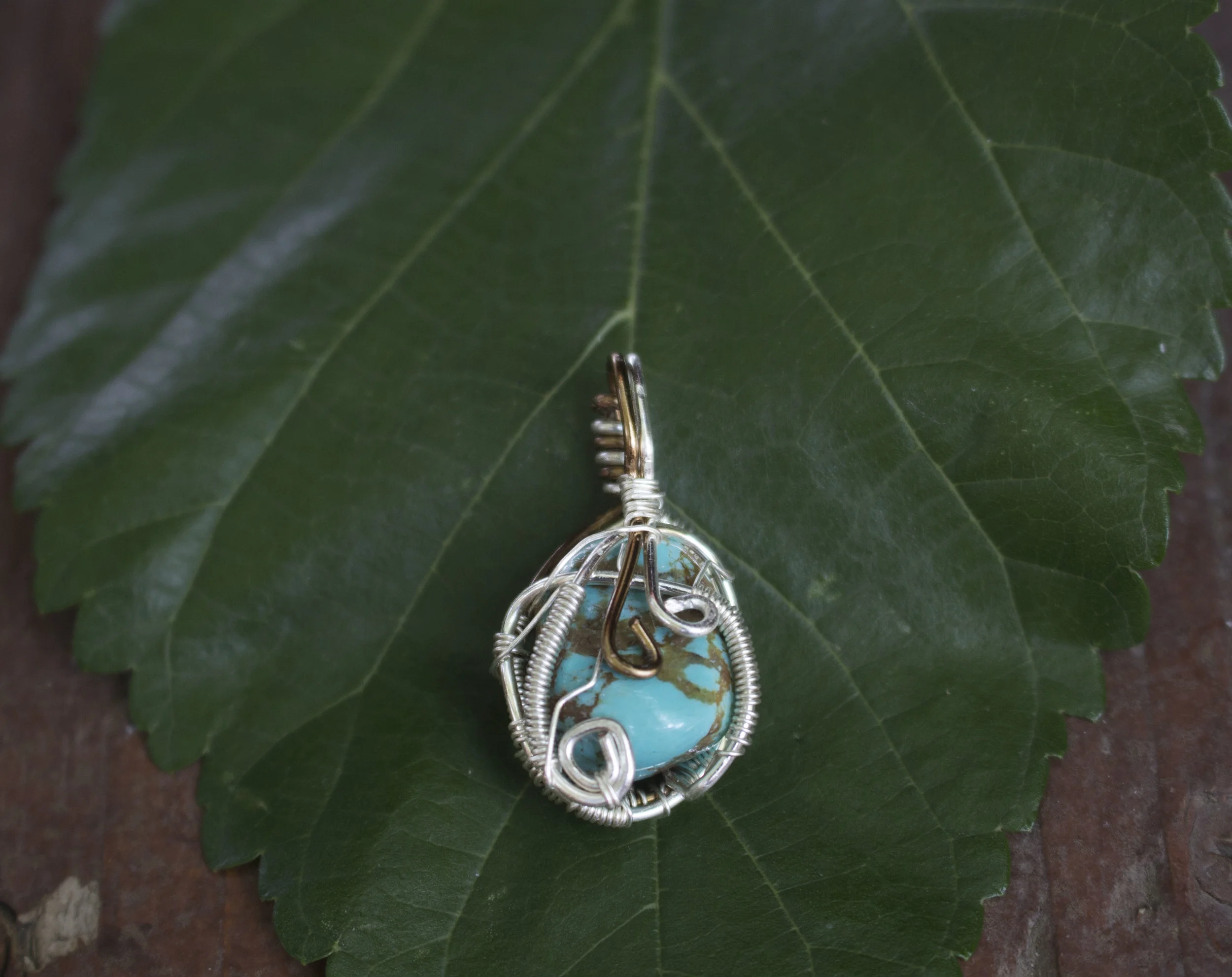 vcs turquois1b IMG_0787.jpg
