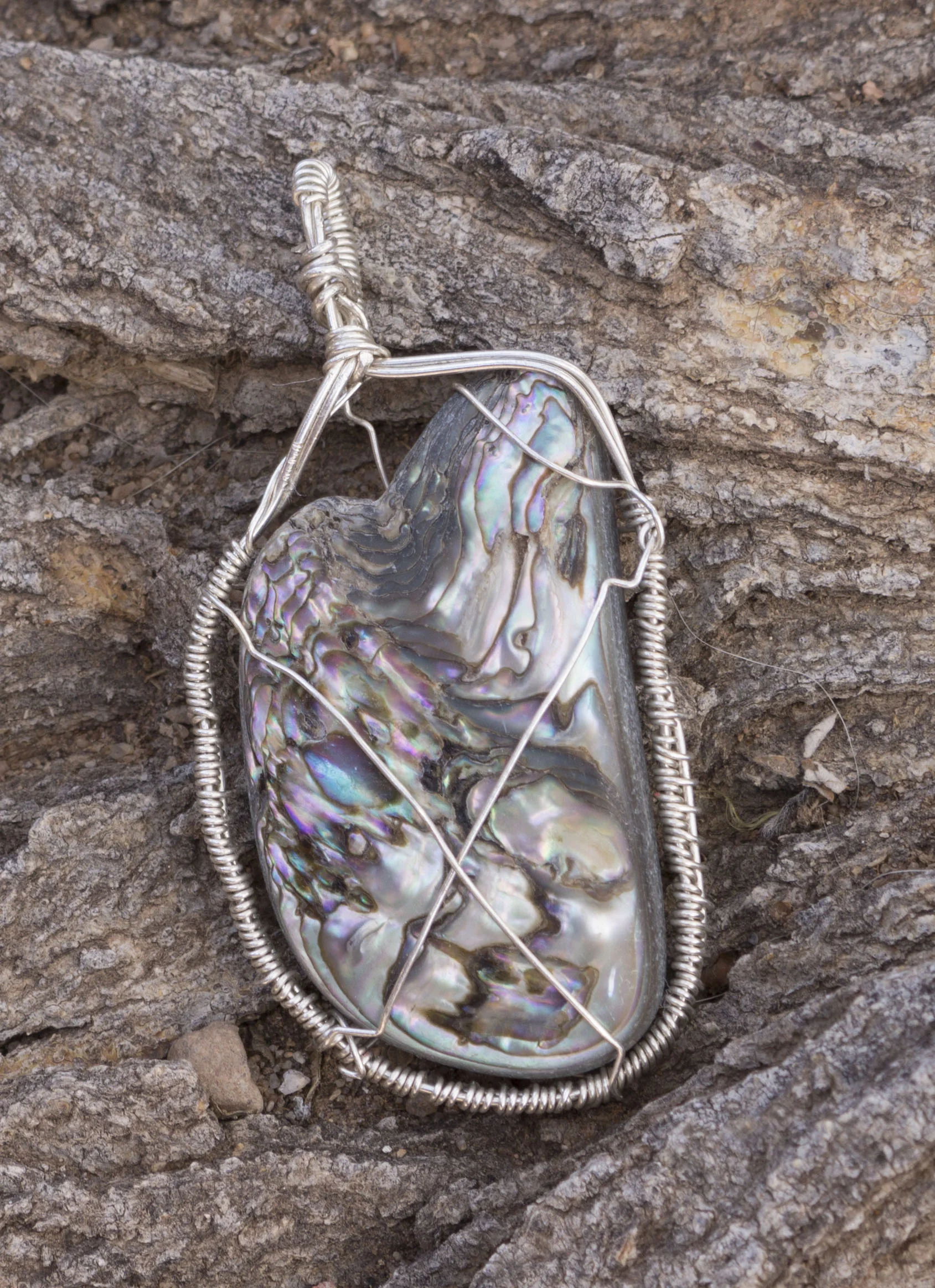 AbaloneyshellF_0109.jpg