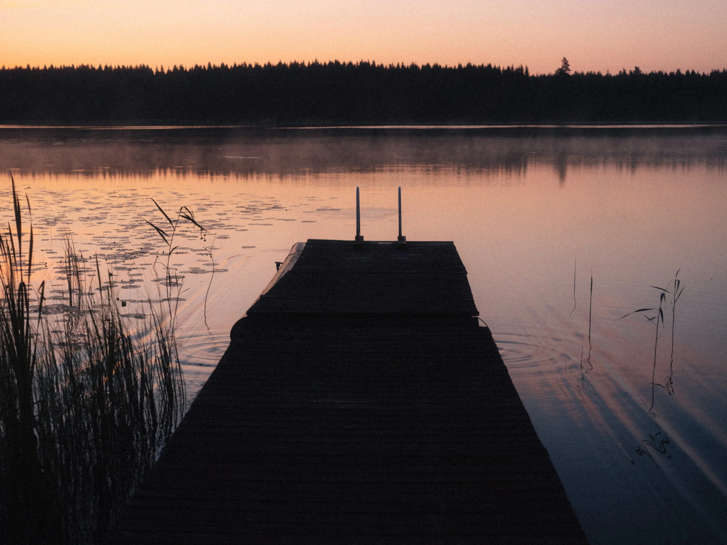 _DSF8447.jpg