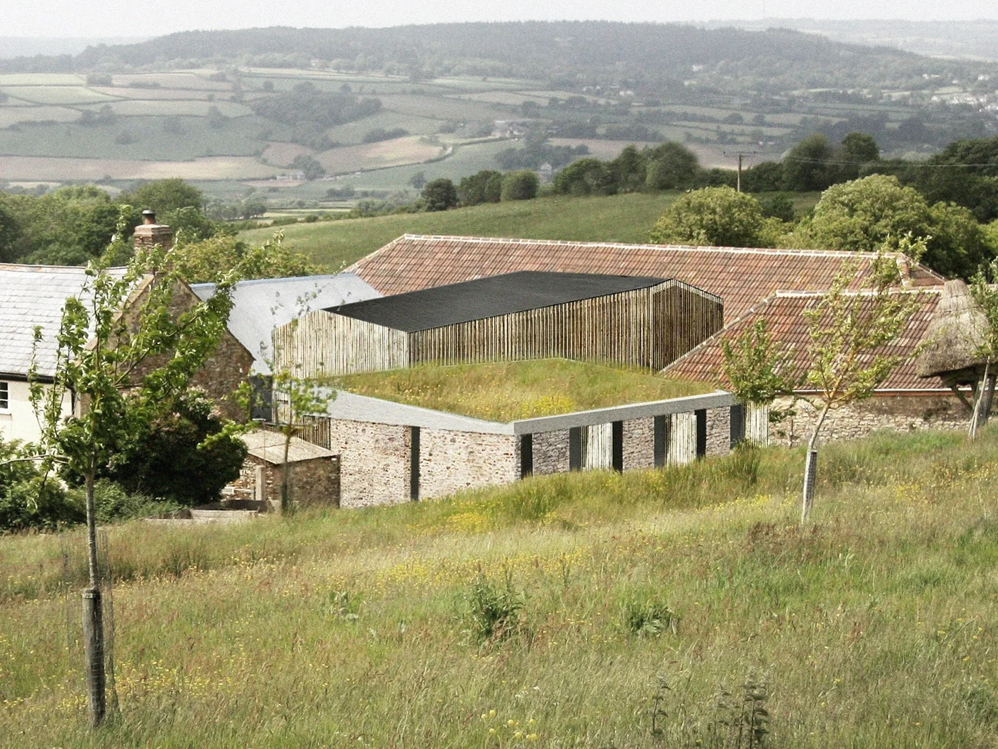 squarespaceimage8.jpg