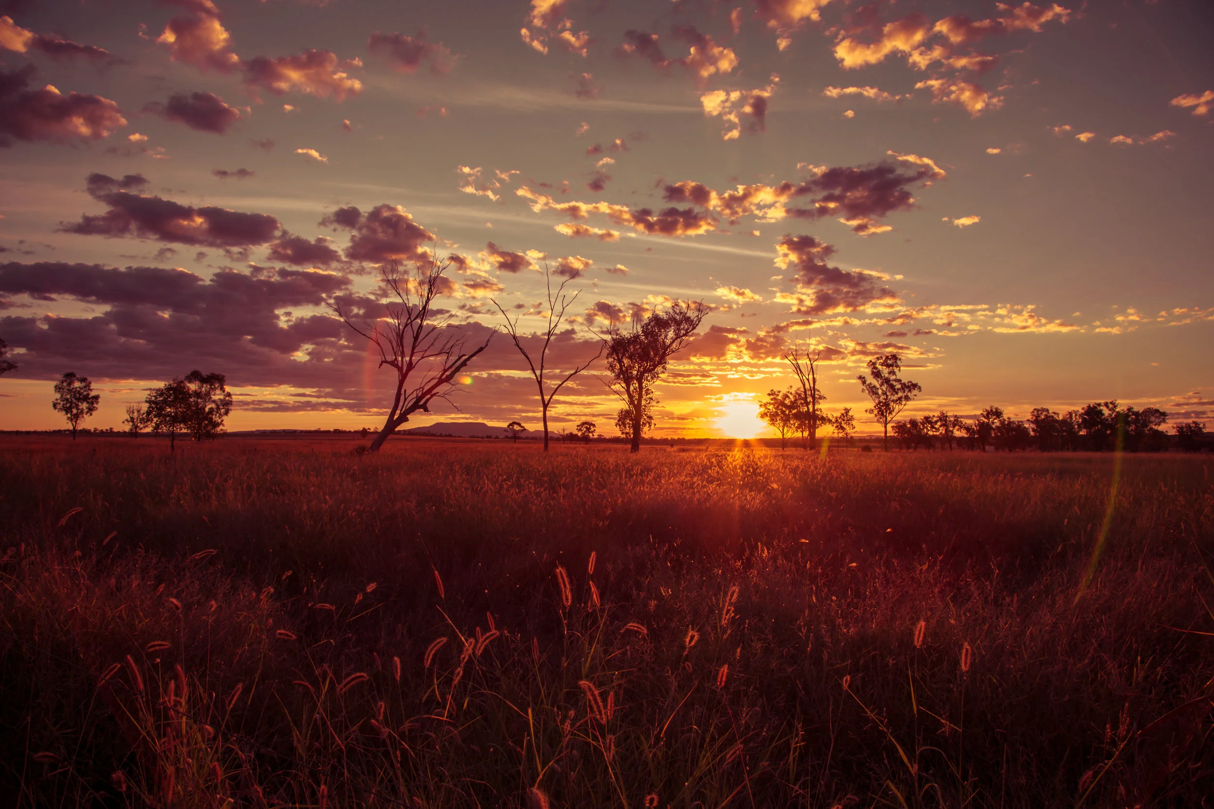 What is God's Love Language?