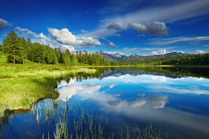 still-waters1.jpg