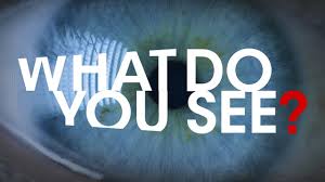 What Do You See