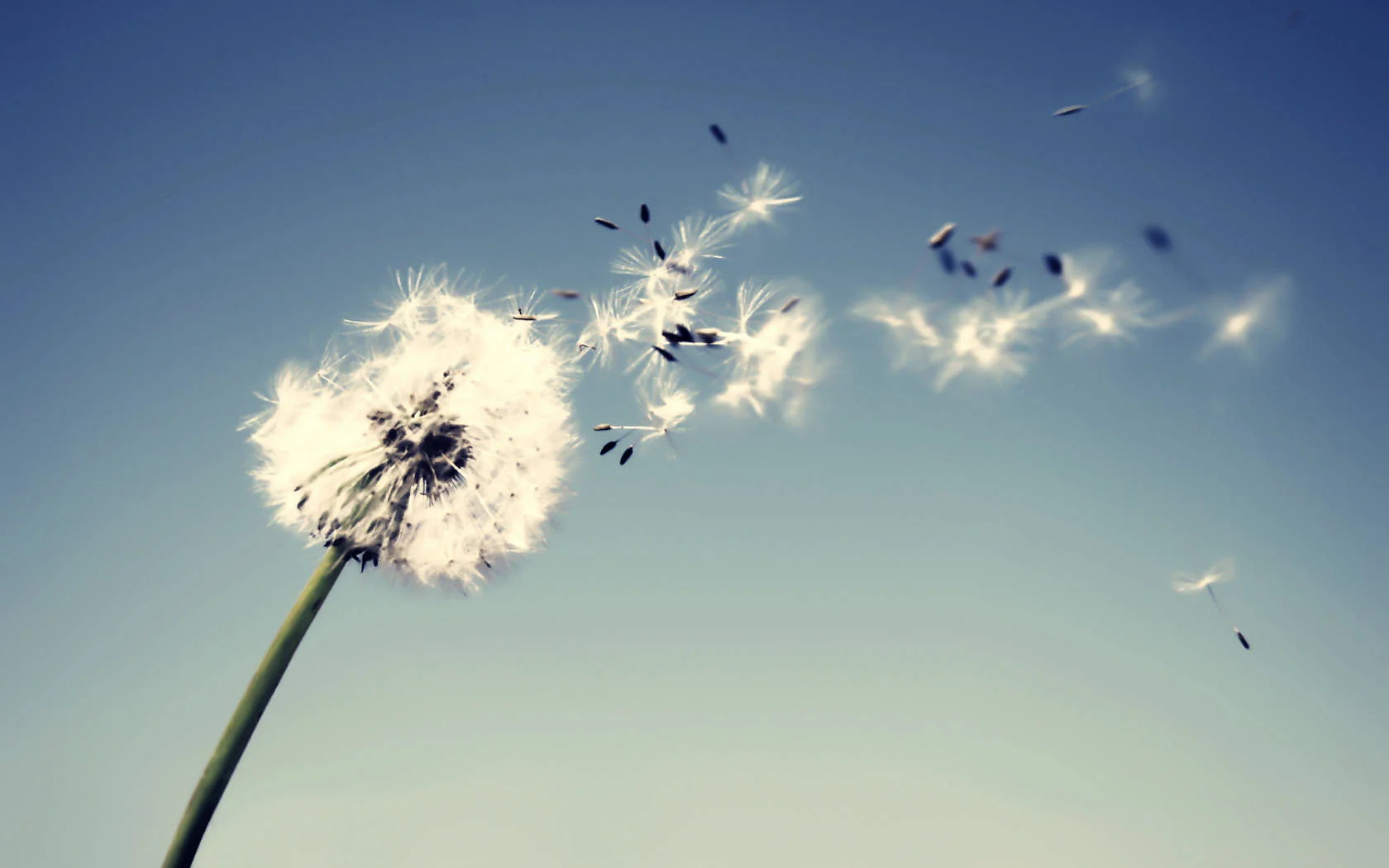 Winds of Change