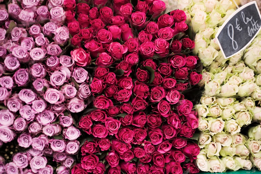 Paris pictures, market roses, fine art photography print