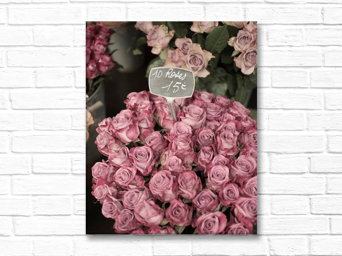 Paris canvas wall art, faded pink roses 
