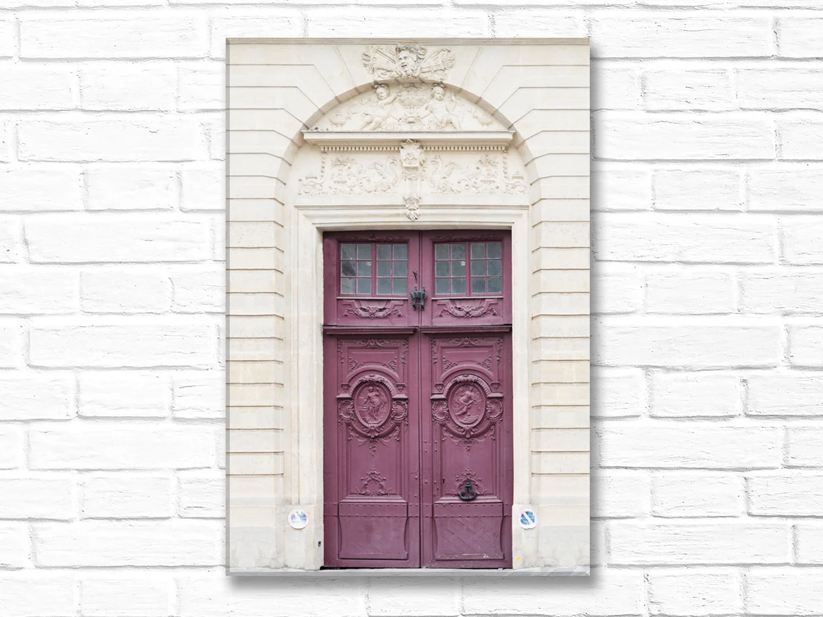 Paris canvas wall art, orchid door