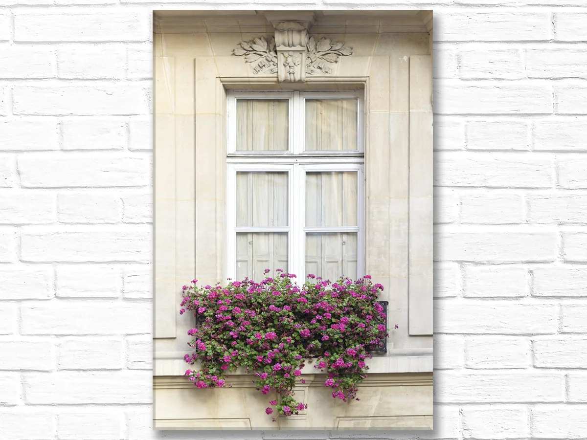 Paris canvas wall art, window with geraniums