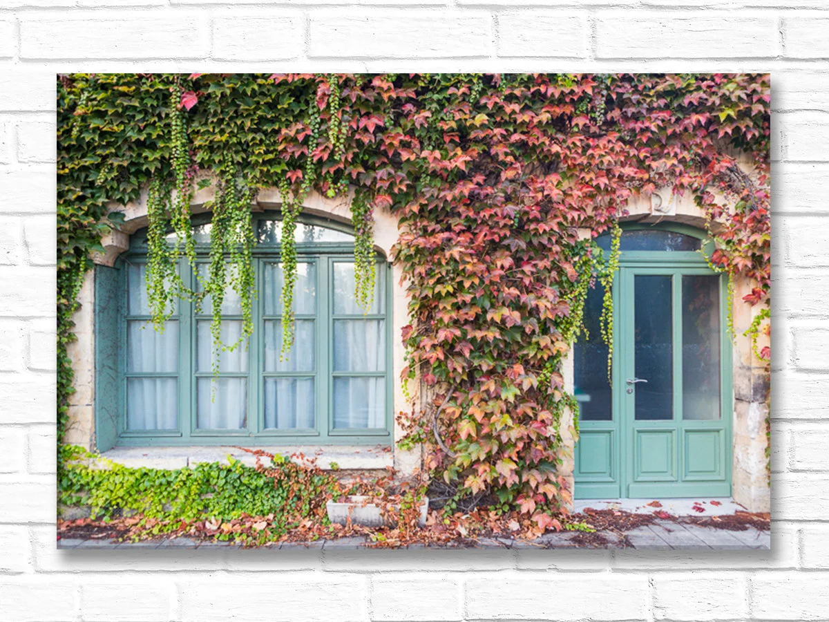 France canvas wall art, ivy-covered house in Brantome