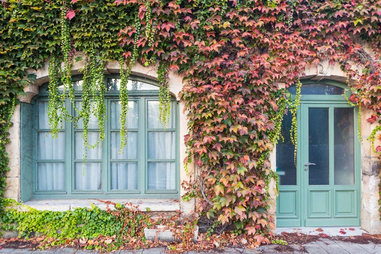 France photography, ivy-covered house in Brantome in fall