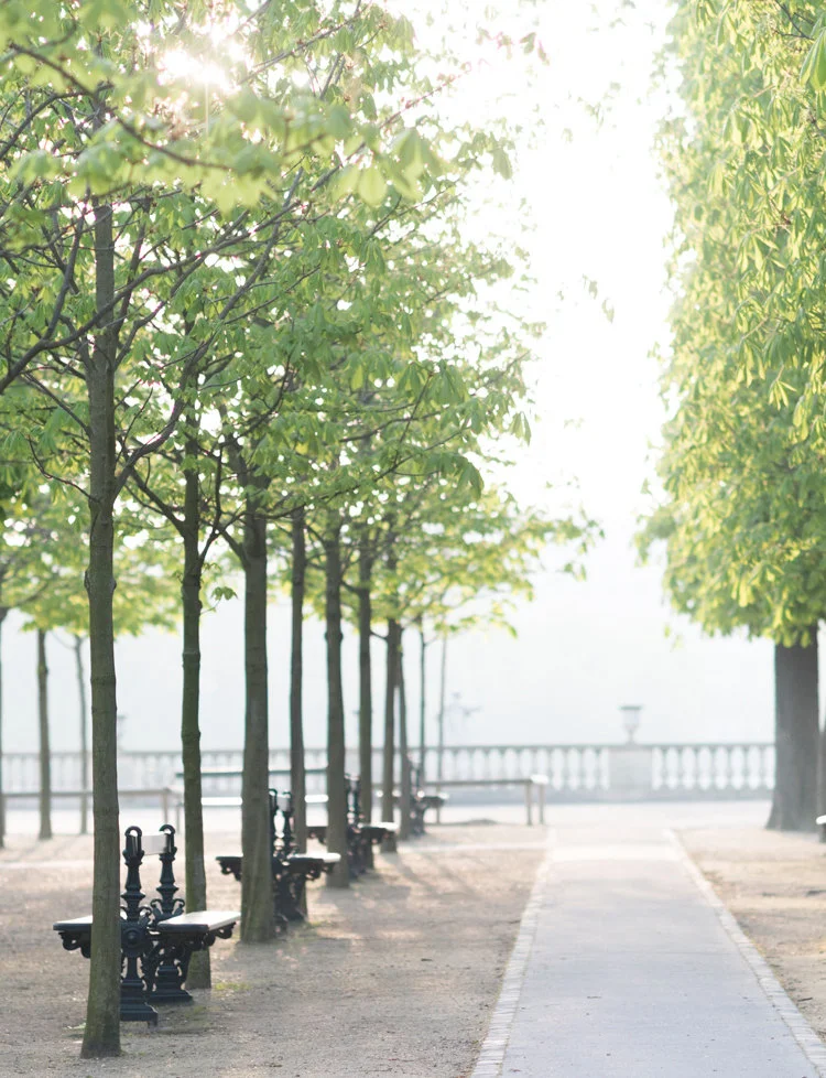 Paris pictures, dawn light at Luxembourg Gardens