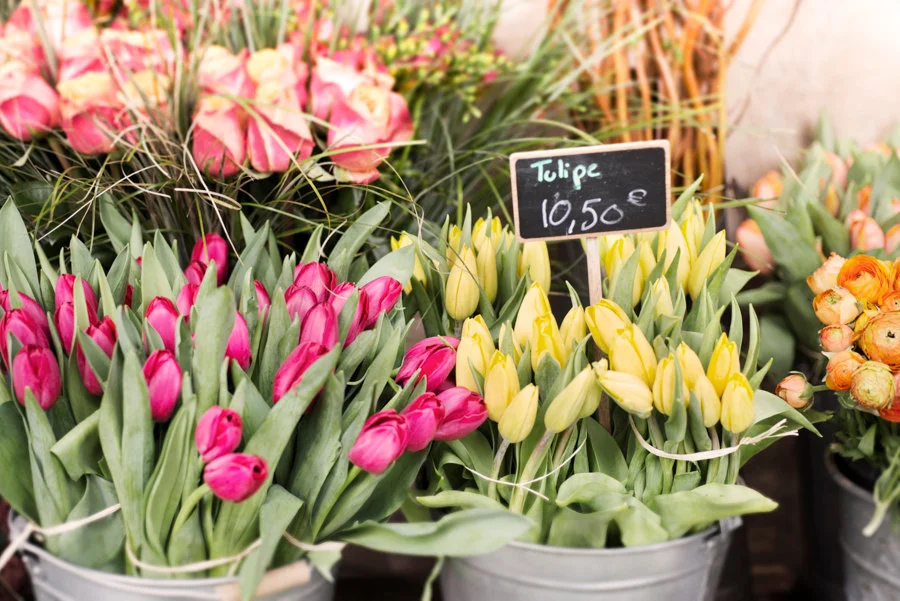Paris pictures, spring tulips and roses, Paris fine art photography print
