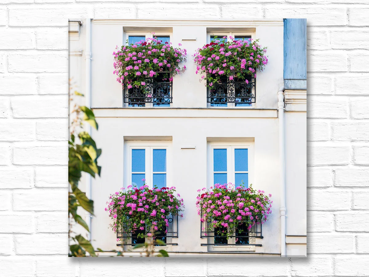 Paris gallery wall art, pink geranium window boxes