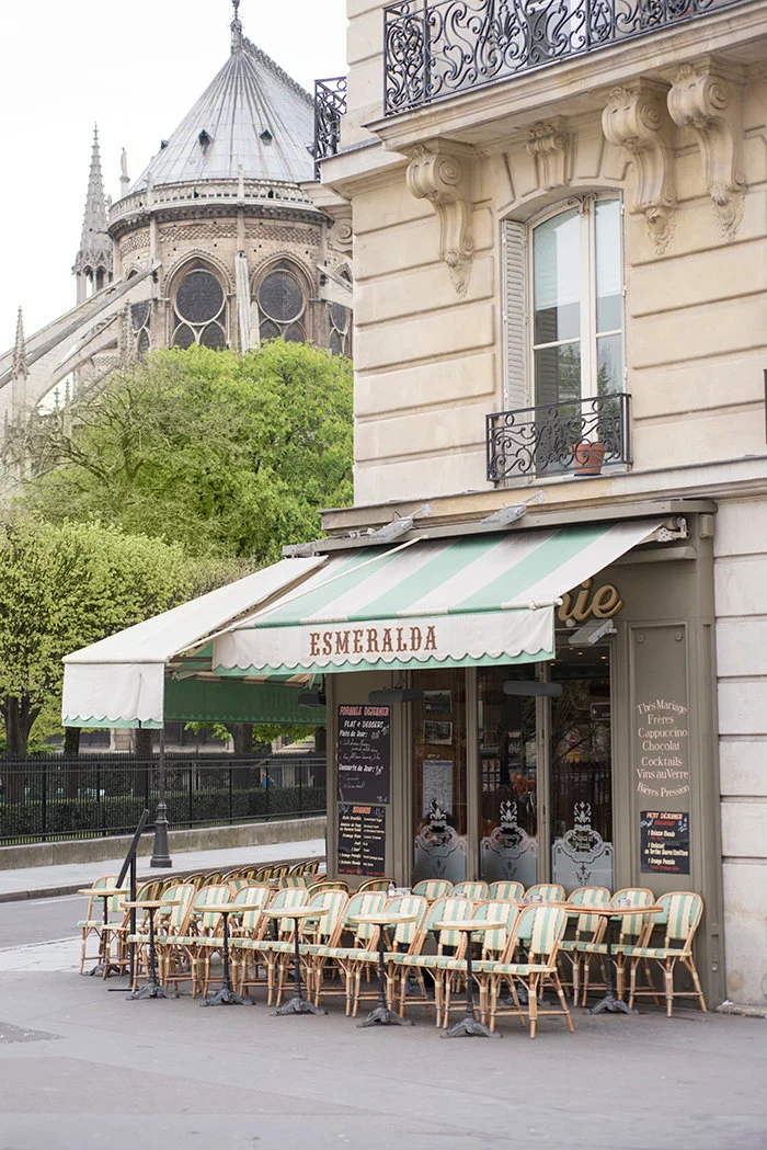 Paris pictures, Esmeralda Café and Notre Dame cathedral