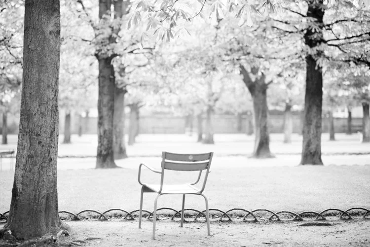 Paris pictures, solitary chair in the Jardin de Luxembourg, black and white